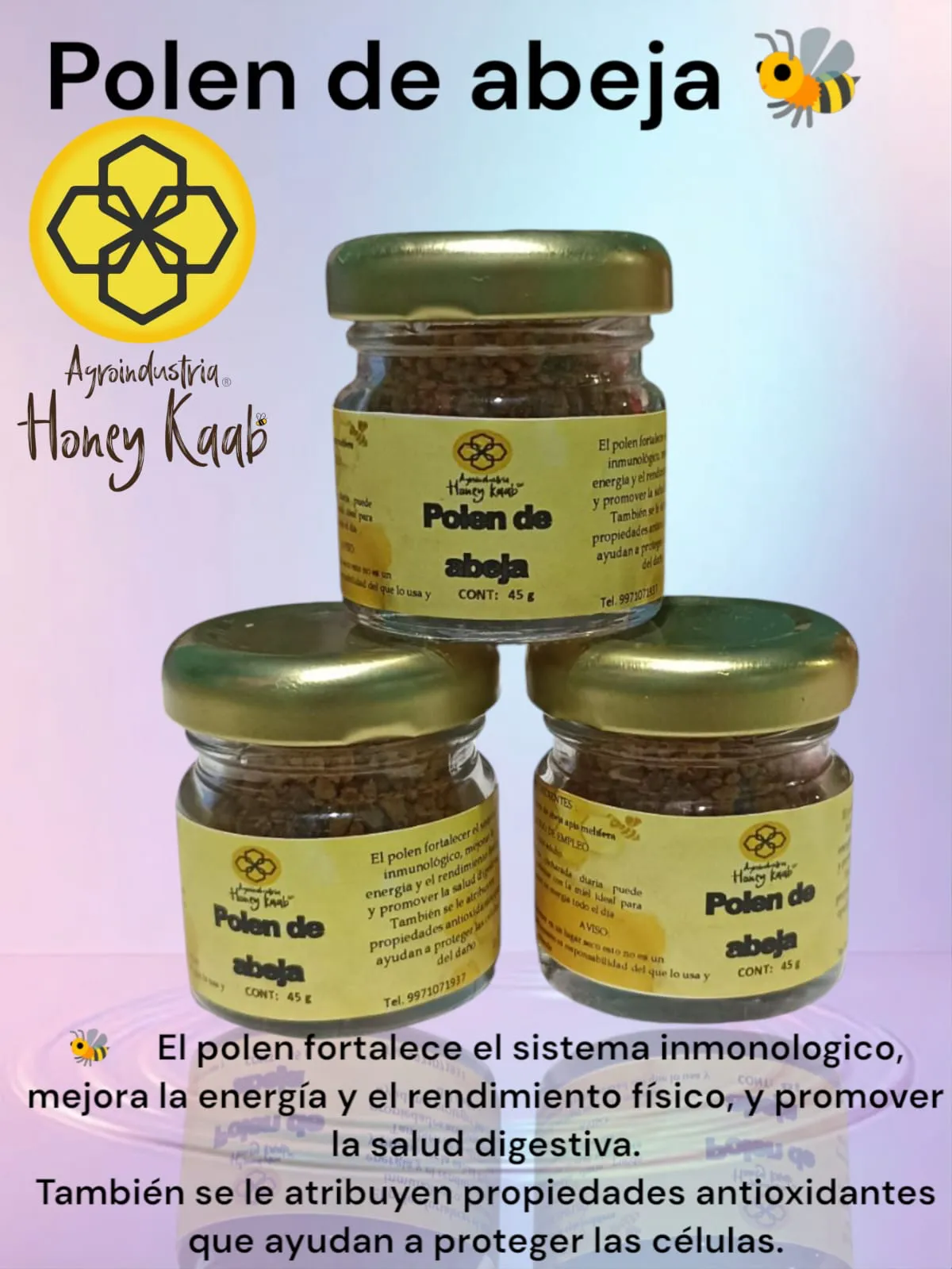 Polen de abeja ecosistema manglar presentación 45g